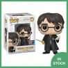 Funko POP! Harry with Gryffindor Sword and Basilisk Fang (2022 Fall Convention)