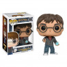 Funko POP! Harry with Prophecy