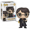 Funko POP! Harry with Gryffindor Sword and Basilisk Fang (2022 Fall Convention)