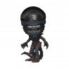 Funko POP! Xenomorph
